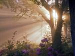 tree_182