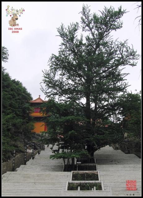 temple_146