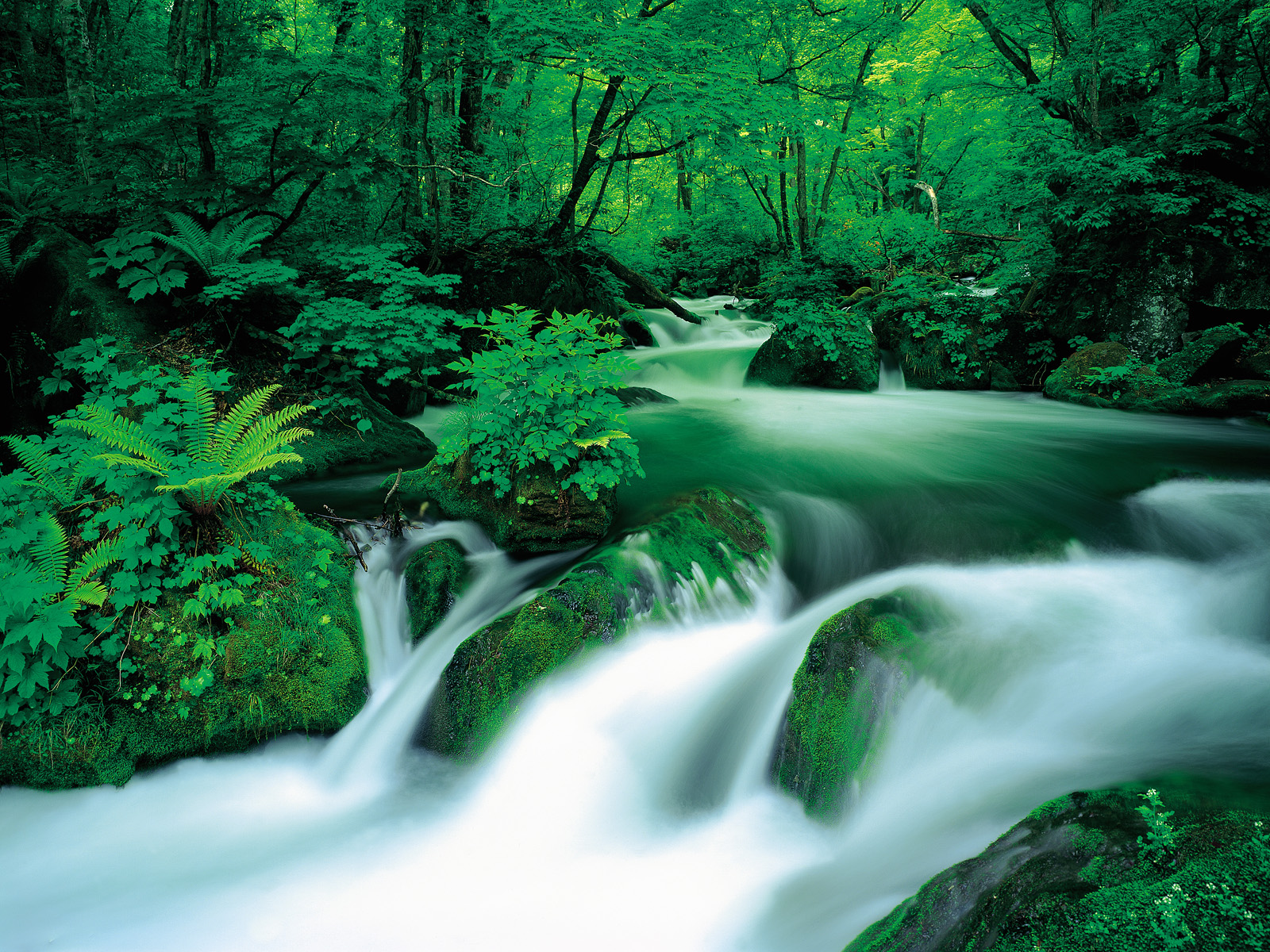 Aomori Prefecture, Japan