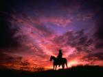 Cowboy at Sunset