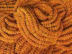 Marigold Garlands at a Flower Market, Kolkata, West Bengal, India