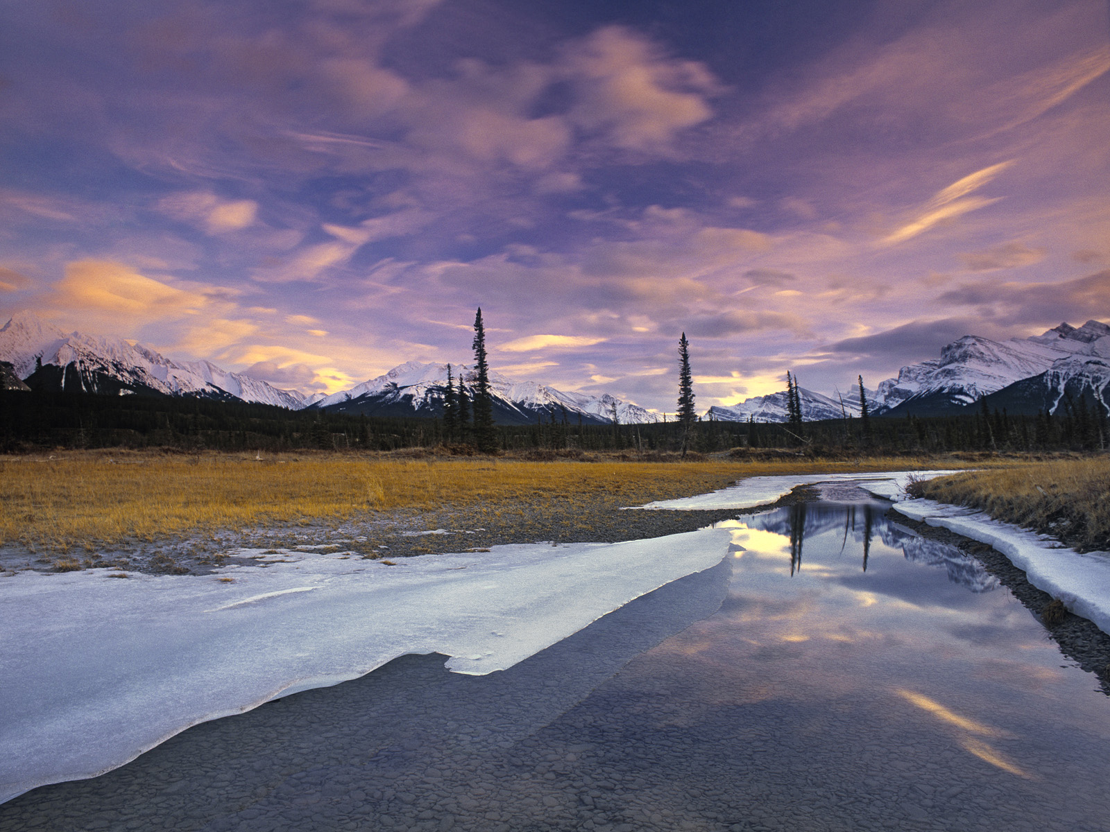North Saskatchewan River and the Ram Range, Kootenay Plains, Alberta