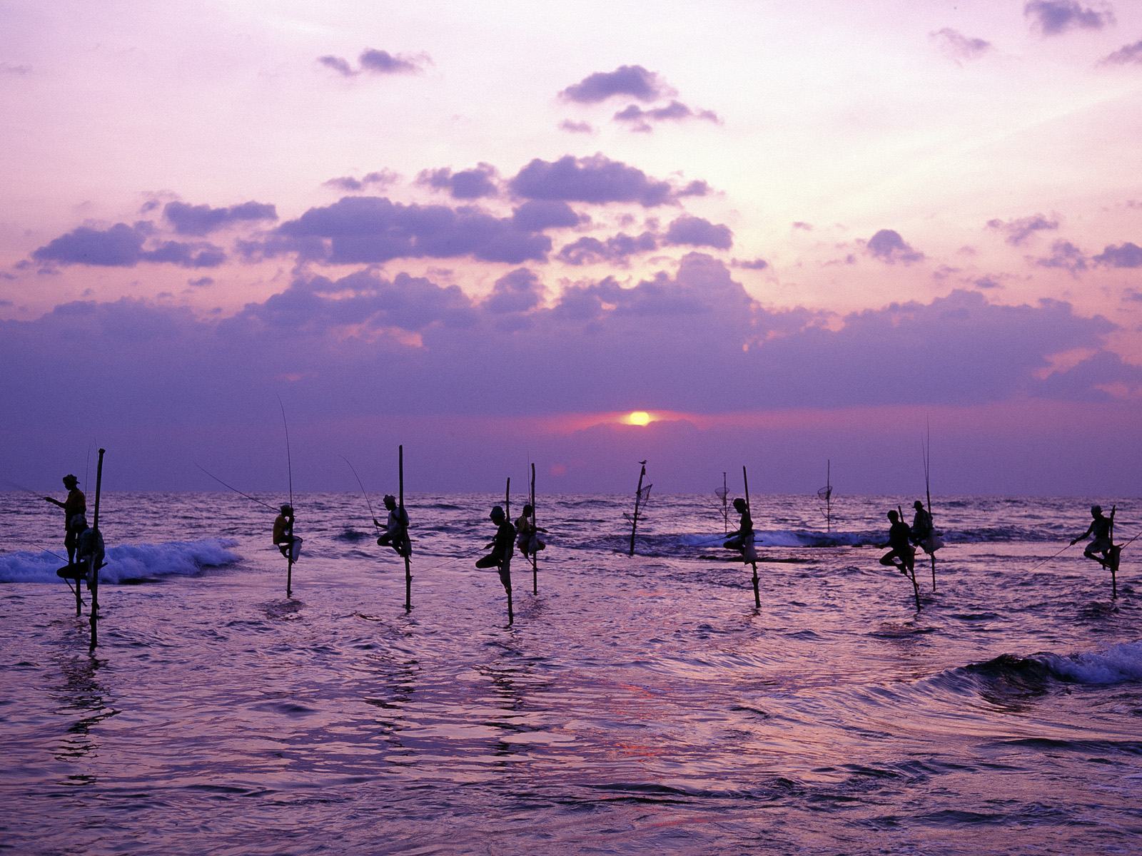 Stilt Fishermen, Weligama, Sri Lanka