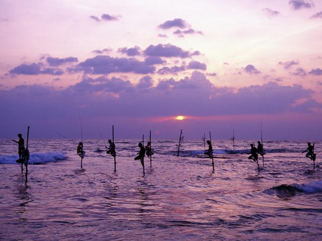 Stilt Fishermen, Weligama, Sri Lanka