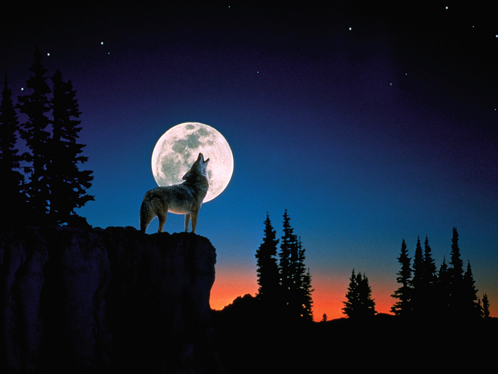 Howl at the Moon