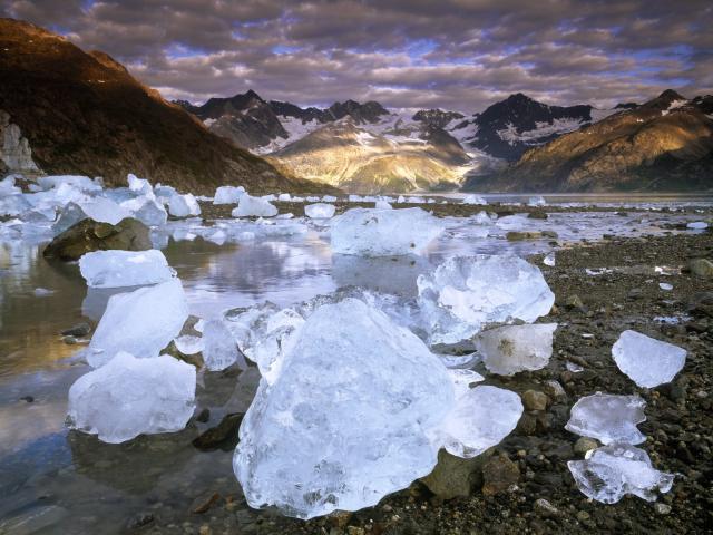 Johns Hopkins Inlet Glacier Bay National Park Alaska