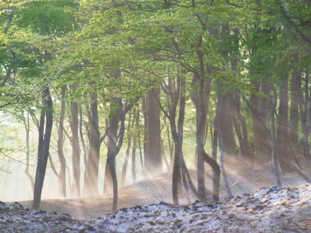 Late Snowfall in Spring and Morning Fog Yamagata Prefecture Japan