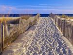 Beach Access, Santa Rosa Island, Near Pensacola, Florida