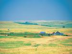 Grassland Kansas