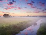 s Sedge Moor at Sunrise Somerset England