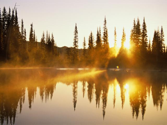 Rising Sun Washington
