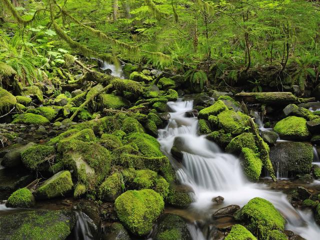 Sol Duc River Olympic National Park Washington