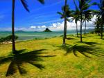 i Island Oahu Hawaii