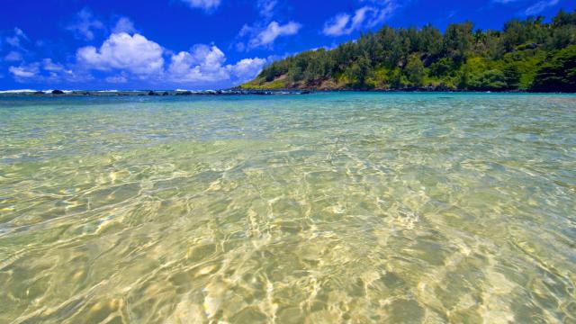 Turquoise Waters Hawaii