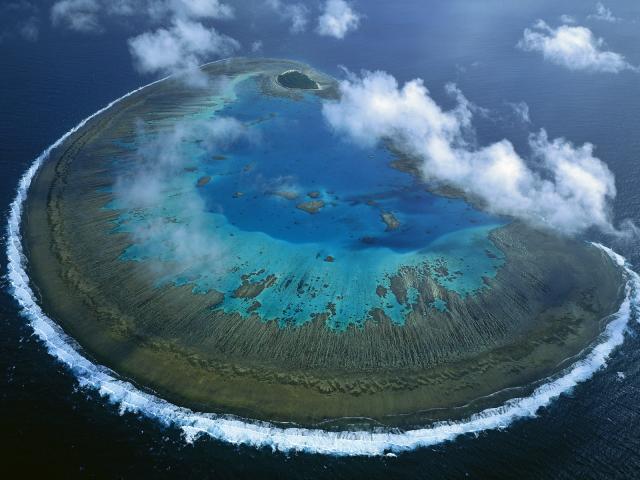 Lady Musgrave Island, Great Barrier Reef, Queensland, Australia