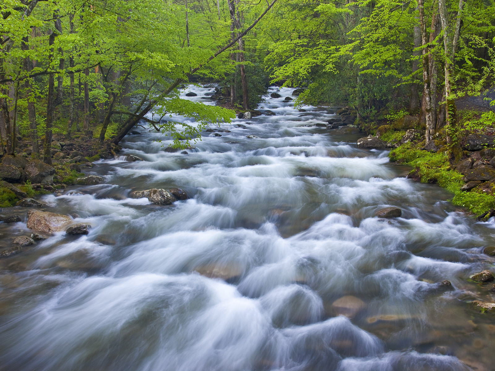 Little Pigeon River, Great Smoky Mountains National Park, Tennessee