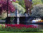 Public Garden, Boston, Massachusetts