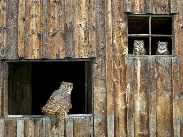 Gathering