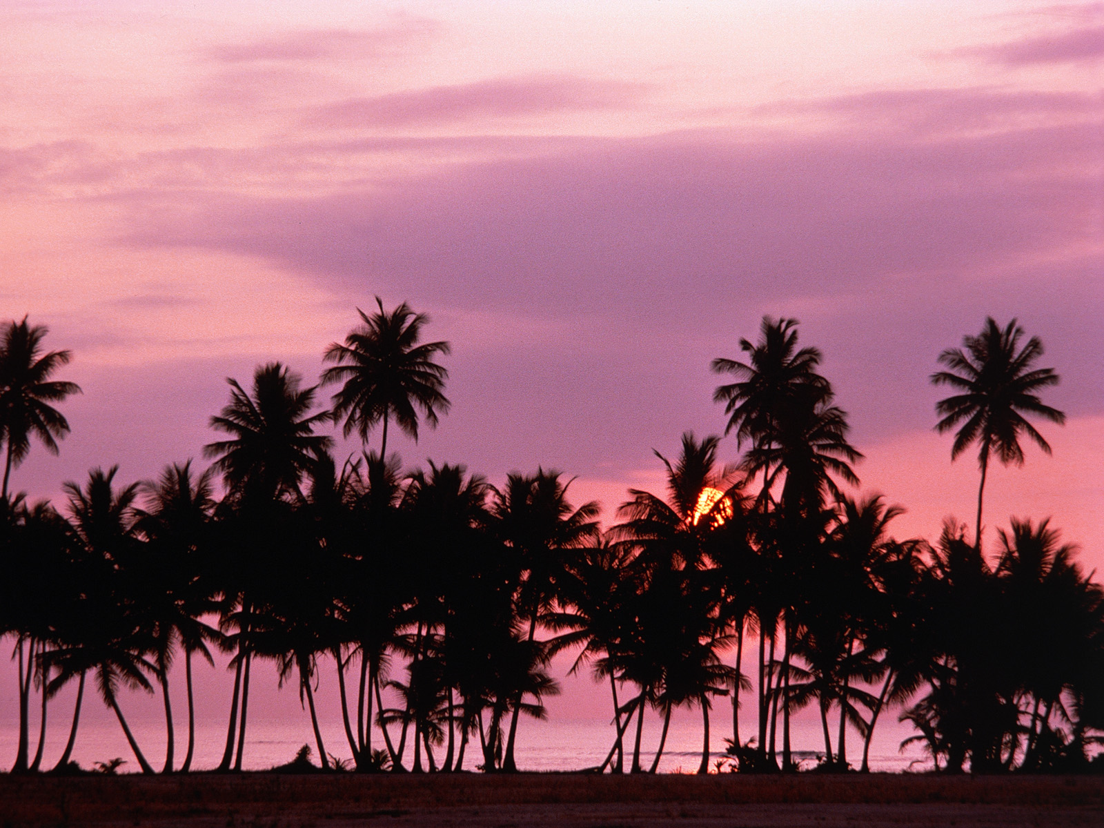 Las Palmas Sunset, Puerto Rico