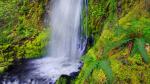 A Resting Place, Columbia Gorge, Oregon