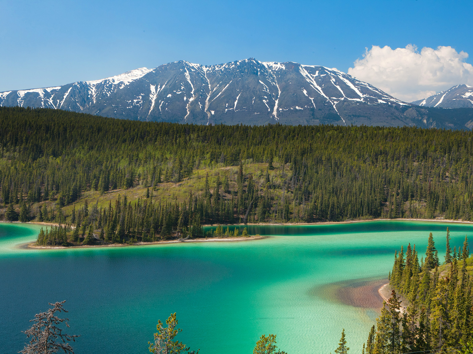 Emerald_Lake_Near_Skagway_Alaska