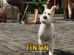 Tintin_15