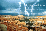 Animated Photos for Desktop Wallpaper