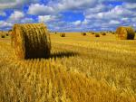 Hay_Bales_Saskatchewan