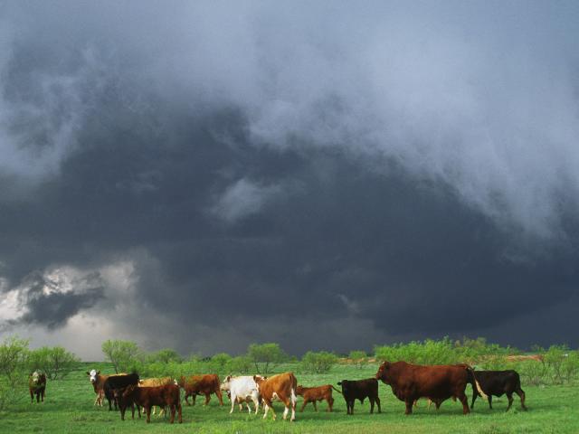 Tornadic_Thunderstorm