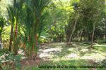 waphukaew12_023