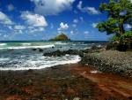 Alau_Isle_Maui_Hawaii