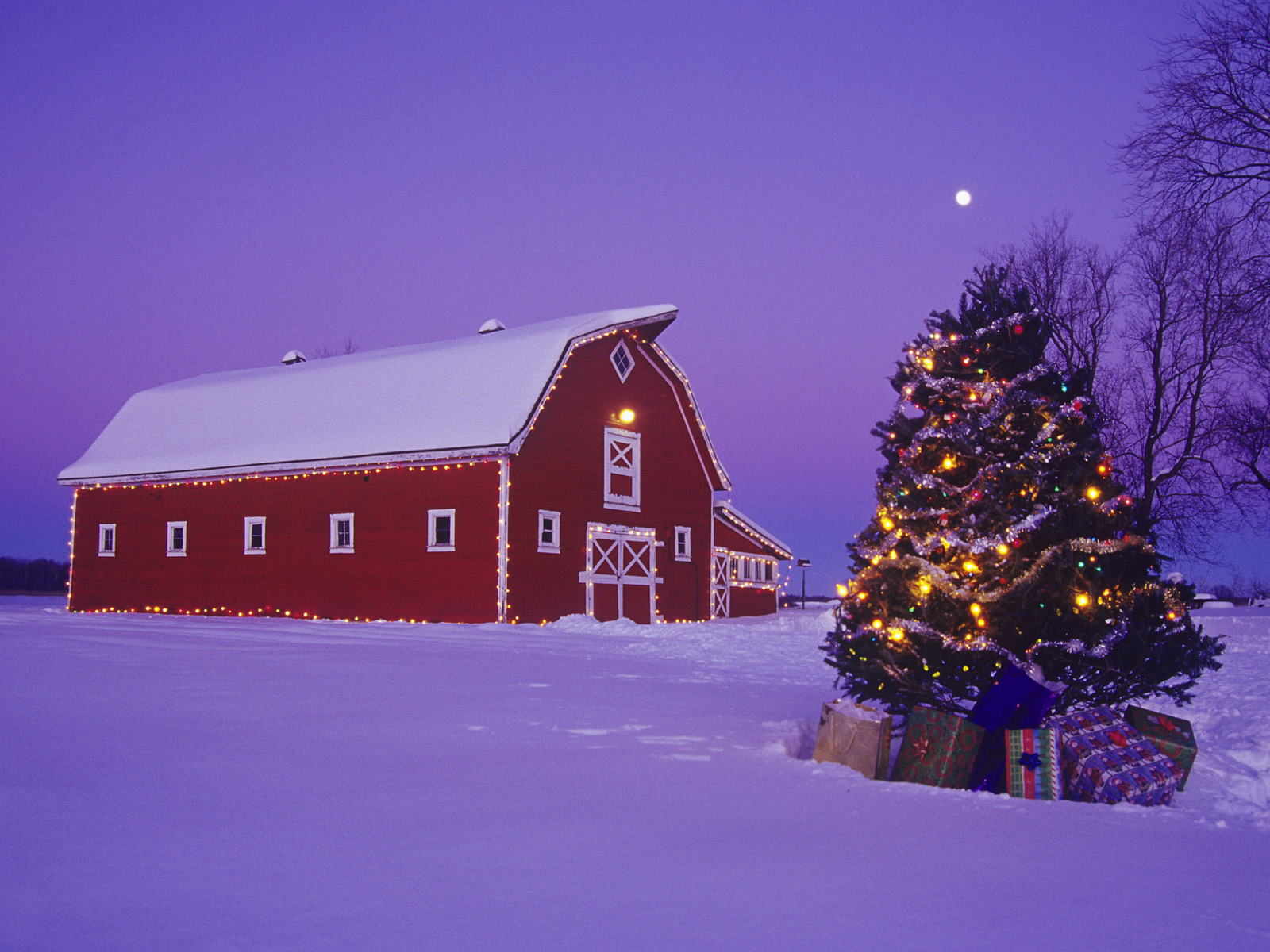 Christmas_on_the_Farm