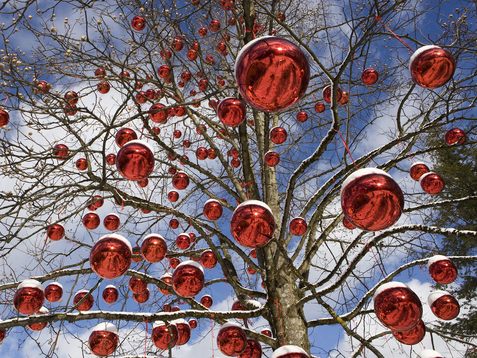 Christmas_Ornaments2