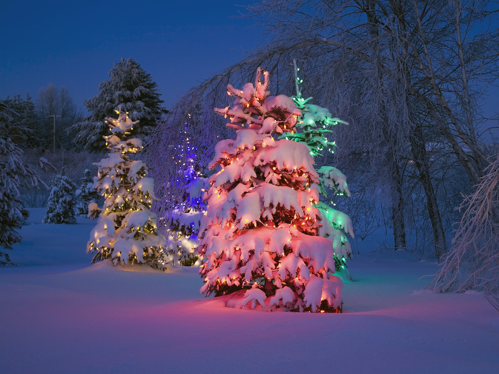 Happy_Holidays