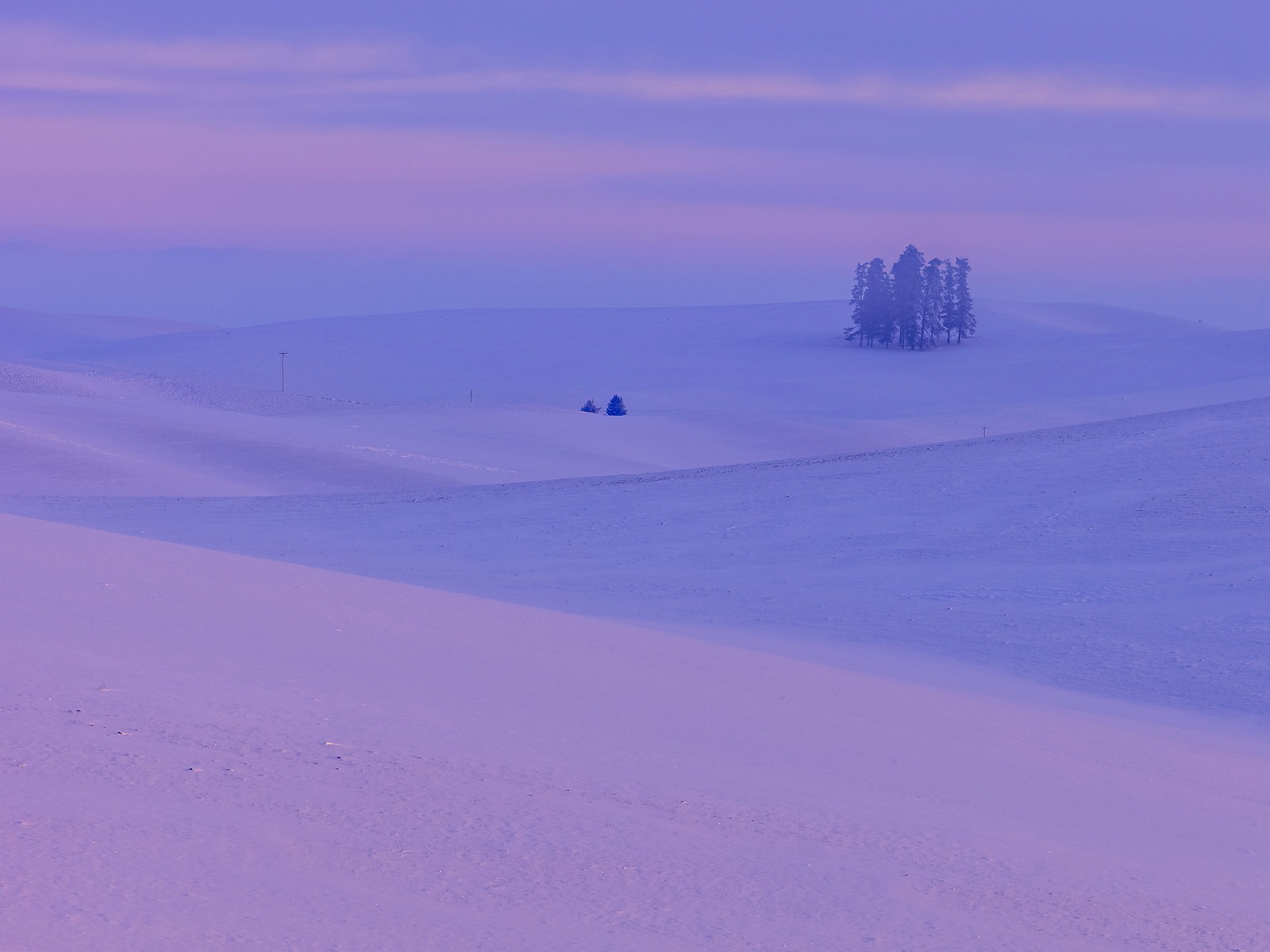Lone_Tree_Hill