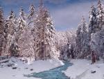 Rainier_Creek_in
