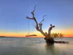 Sunrise_Swing