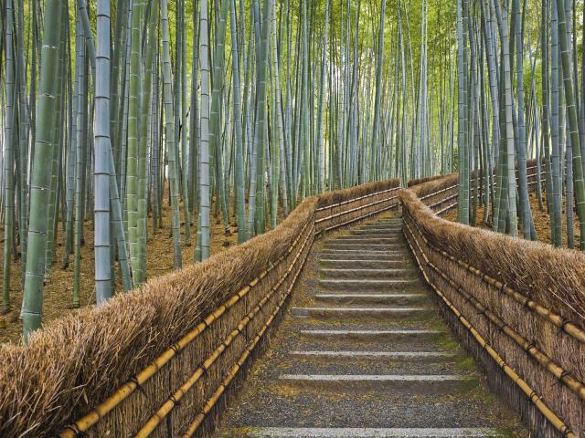 Bamboo_Nembutsu-ji_Temple