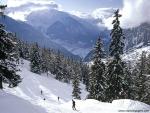 Skiing_in_the_Swiss_Alps