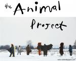 the-animal-project_01