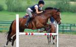 horse_racing_03