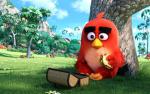 The_Angry_Birds_02