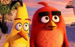 The_Angry_Birds_04