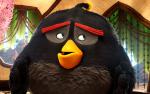 The_Angry_Birds_07