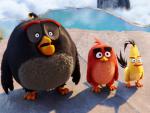 The_Angry_Birds_09