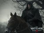 the_witcher3_22