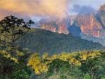 Atlantic Rainforest, Organ Mountains, Serra dos Orgaos National Park, Brazil