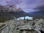 Peyto Lake from Bow Summit, Banff National Park, Alberta