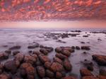 Stromatolites at Dawn on Shark Bay Western Australia