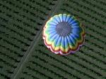 Hot Air Balloon From Above